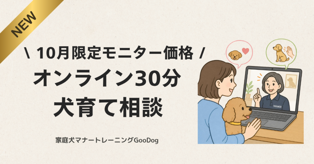 オンライン30分犬育て相談